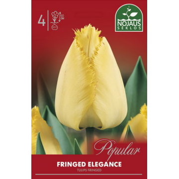 Tulips FRINGED ELEGANCE