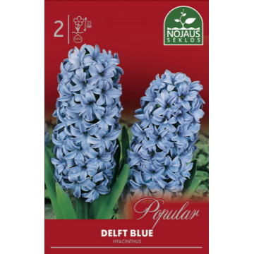 Hyacinthus DELFT BLUE