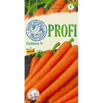Carrot CADANCE H