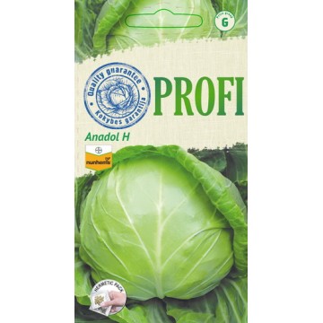 WHITE HEADED CABBAGES ANADOL H
