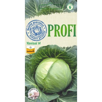 White cabbage Yanisol H