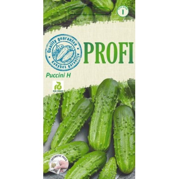 Short cucumbers Puccini H