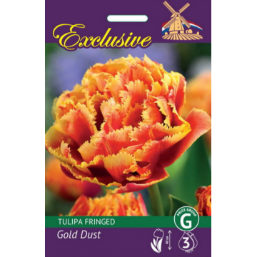 TULIPS EXCLUSIVE GOLD DUST