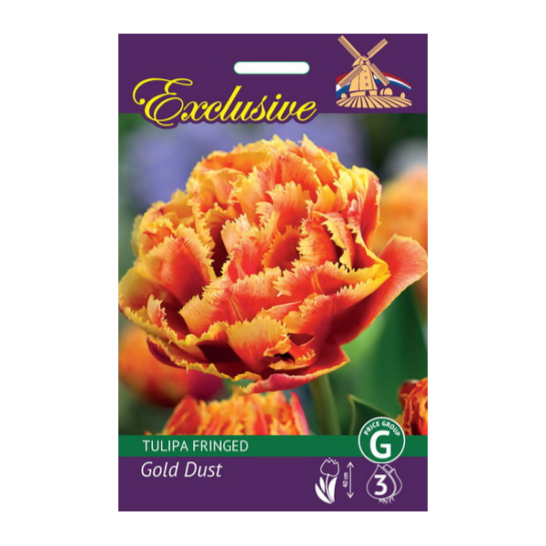 TULIPS EXCLUSIVE GOLD DUST