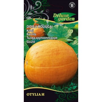 Gourd OTYLIA H
