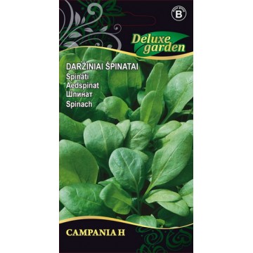 Spinach Campania H