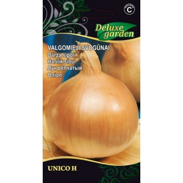 Onion Unico H