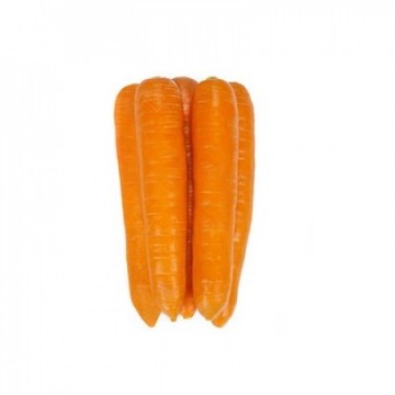 Edible carrot FIDRA H 25000...