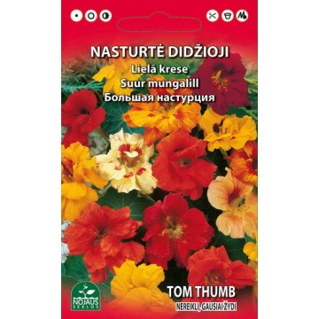 Garden Nasturtium/ Indian...
