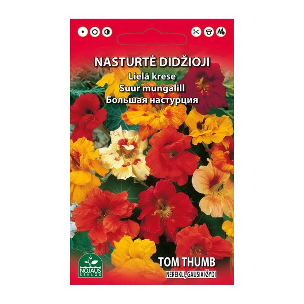 Garden Nasturtium/ Indian Cress