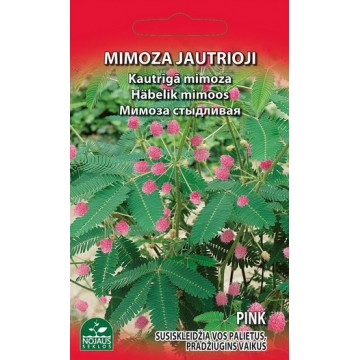 Mimosa Sensitive