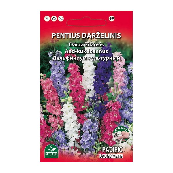 Garden delphiniums