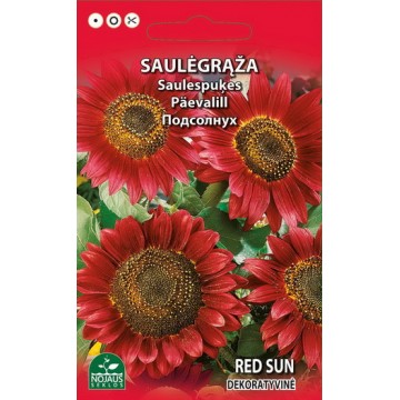 Sunflower decorative Red sun