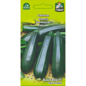 Zucchini Black beauty