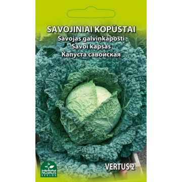 Savoy cabbage Vertus 2