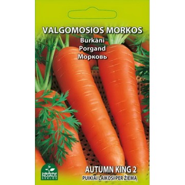 Carrots AUTUMN KING 2