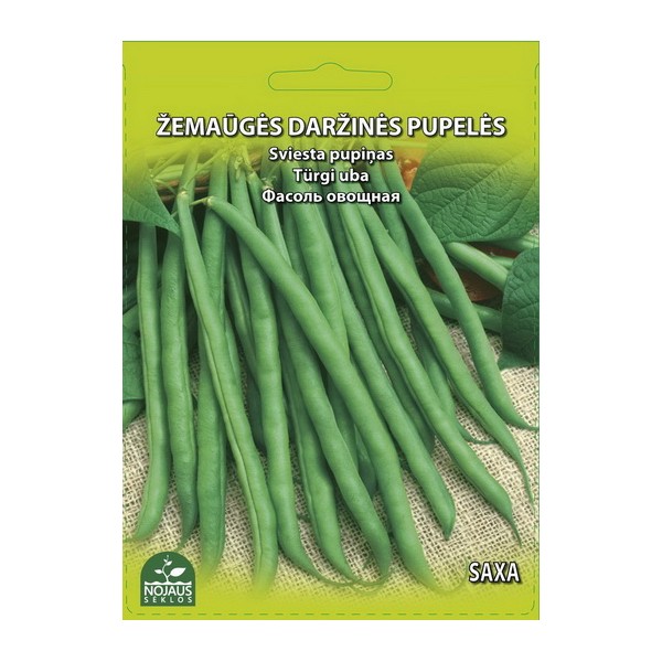 VEGETABLE DWARF BEANS (asparagus) SAXA
