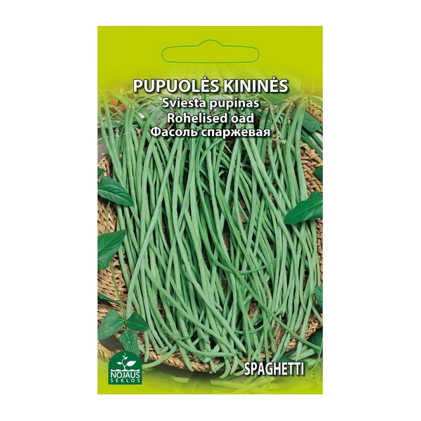 GARDEN BEANS (asparagus) SPAGHETTI