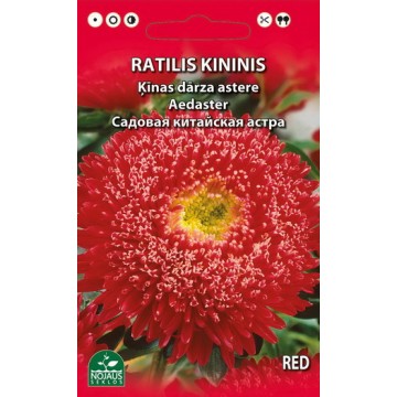 Callistephus chinensis L. Red