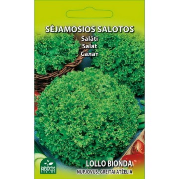 Lettuce LOLLO BIONDA