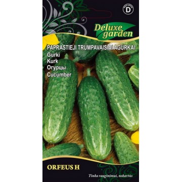 Cucumber Orfeus H