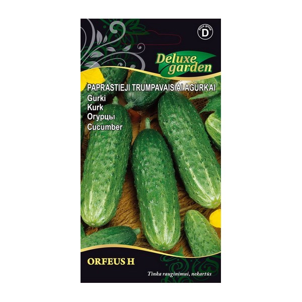 Cucumber Orfeus H