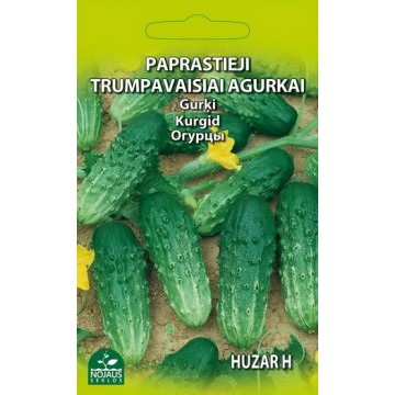 Cucumbers Huzar H