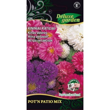 Chinese aster Pot'n Patio Mix