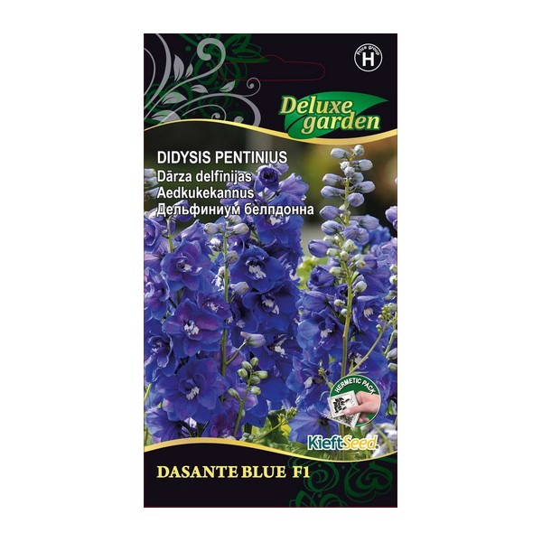 Delphinium x belladonna DASANTE BLUE H
