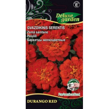 French marigold Durango Red