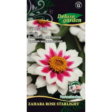Zinnia Zahara Rose Starlight