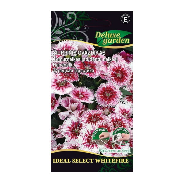 Carnation Ideal Select Whitefire