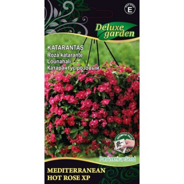 Catharanthus roseus...