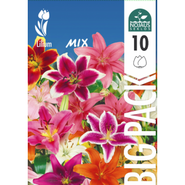 The colorful array of Lily Mix bulbs from the Big Pack, perfect for brightening any garden.