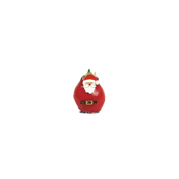 Waxed Amaryllis Santa Claus - Red blossom 1pc.
