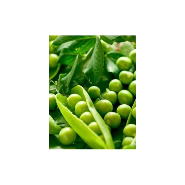 Green Peas Kantata 1 kg