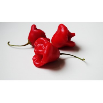 Hot pepper Bishops Crown 0,1g