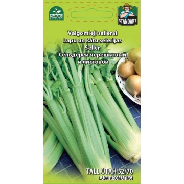 Celery TALL UTAH 52/70