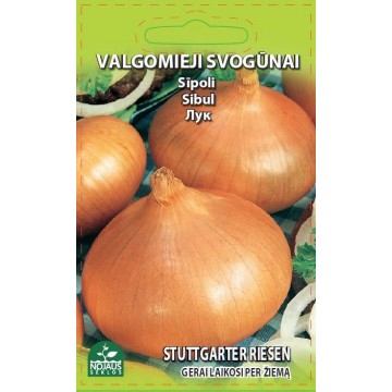Onion seeds Stuttgarter riesen