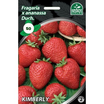 Strawberries FRIGO KIMBERLY...