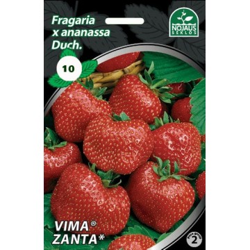 Strawberries FRIGO VIMA...