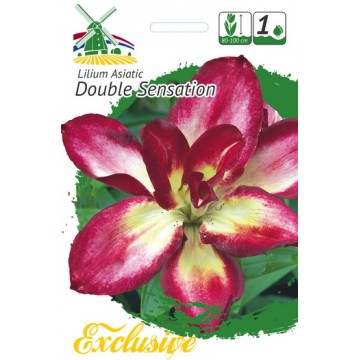 EXCLUSIVE LILIES DOUBLE...