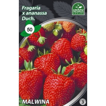 Strawberries FRIGO MALWINA...